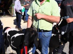 2019_ausstellung polling_610